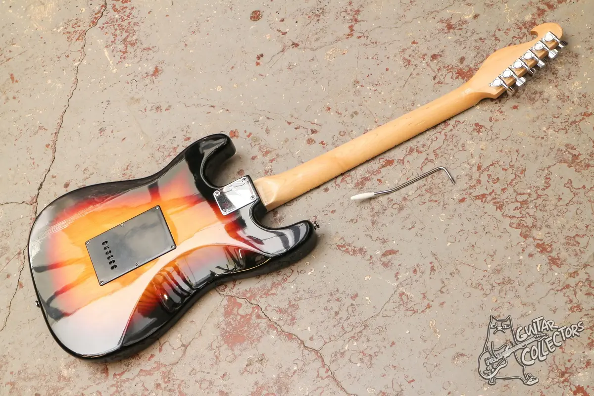 Bill Lawrence SwampKaster S Stratocaster