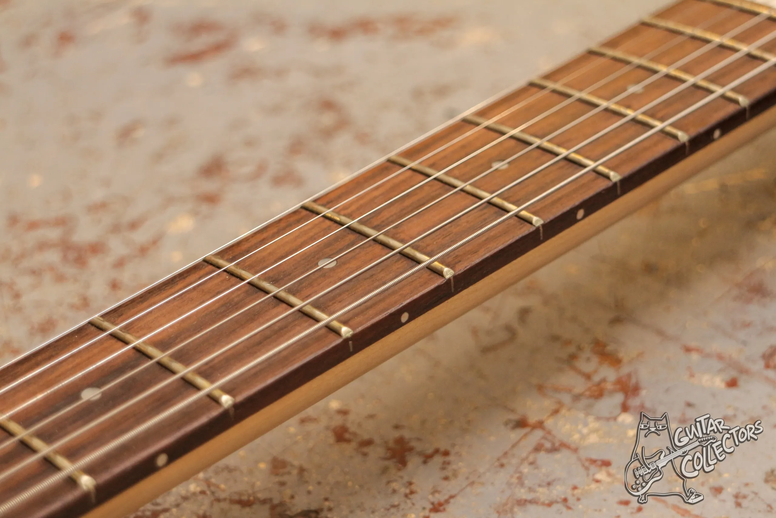 LTD F-10 Forest
