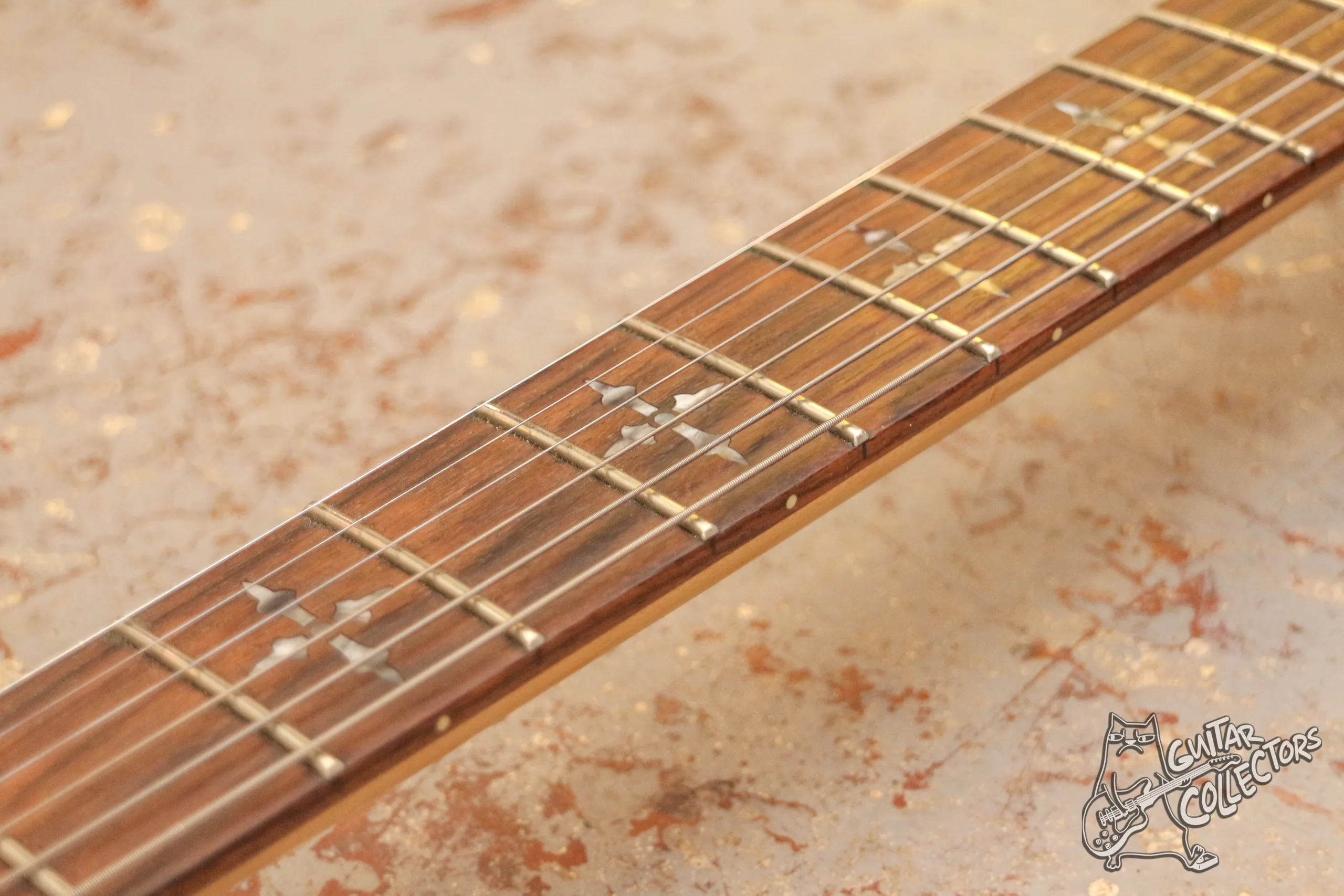 Schecter Revenger 6 FR