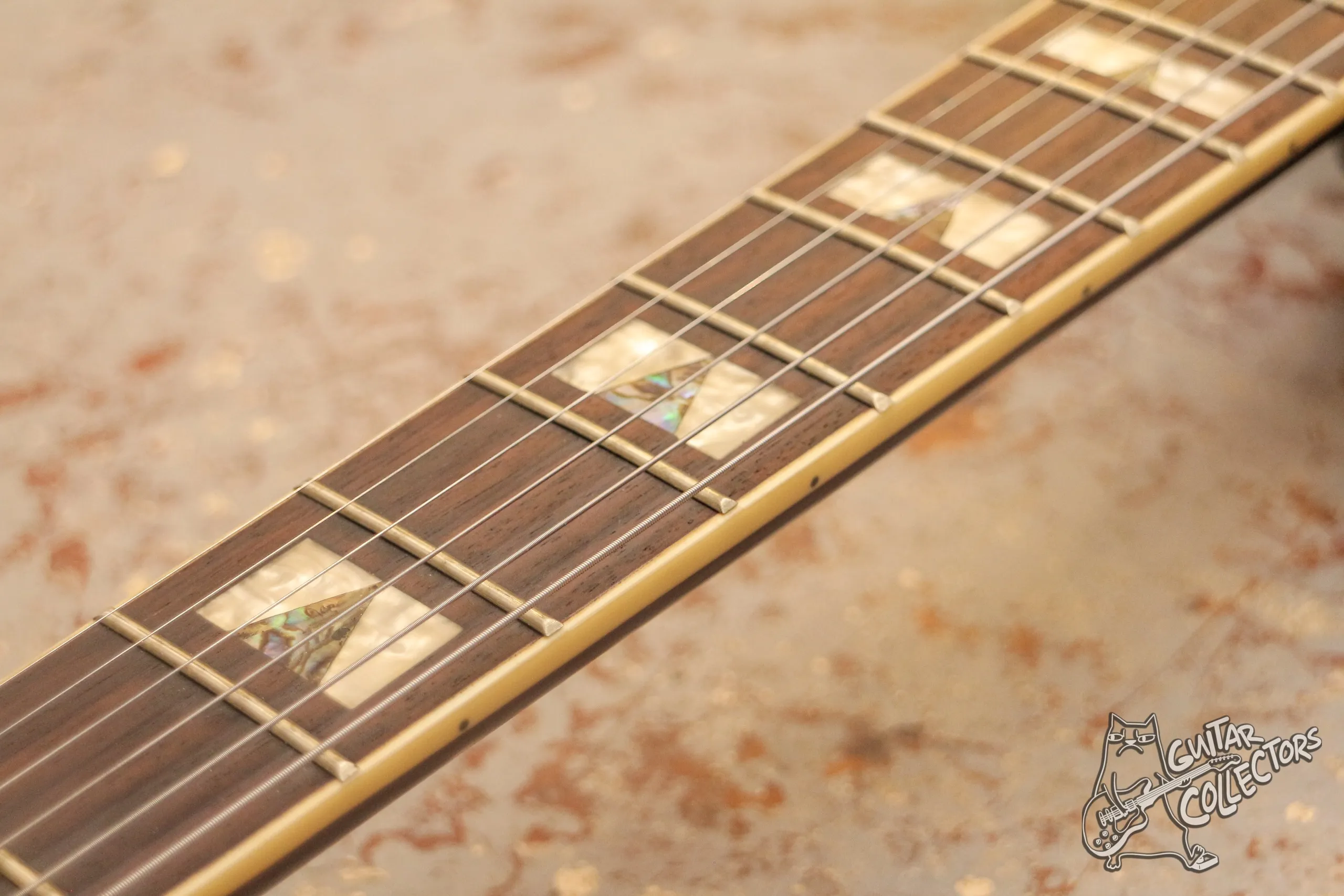 Jay Turser JT-143 Hollow Body Electric Jazz Guitar