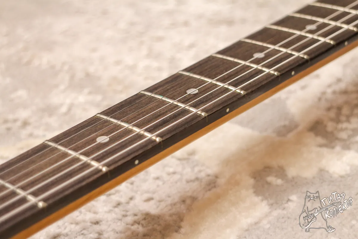 SGR by Schecter 006