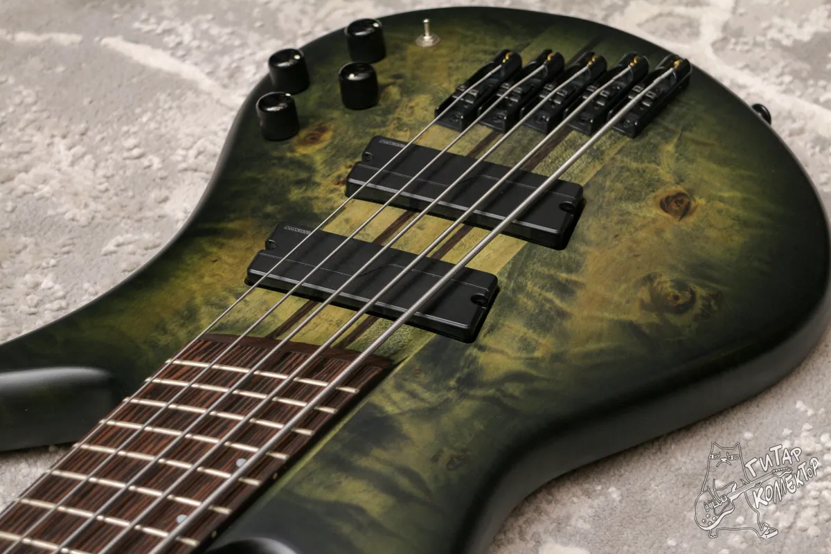 Spector NS Dimension 5 Multiscale Bass Haunted Moss